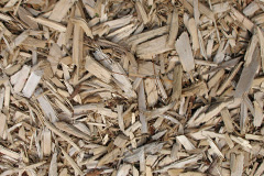 biomass boilers Adfa